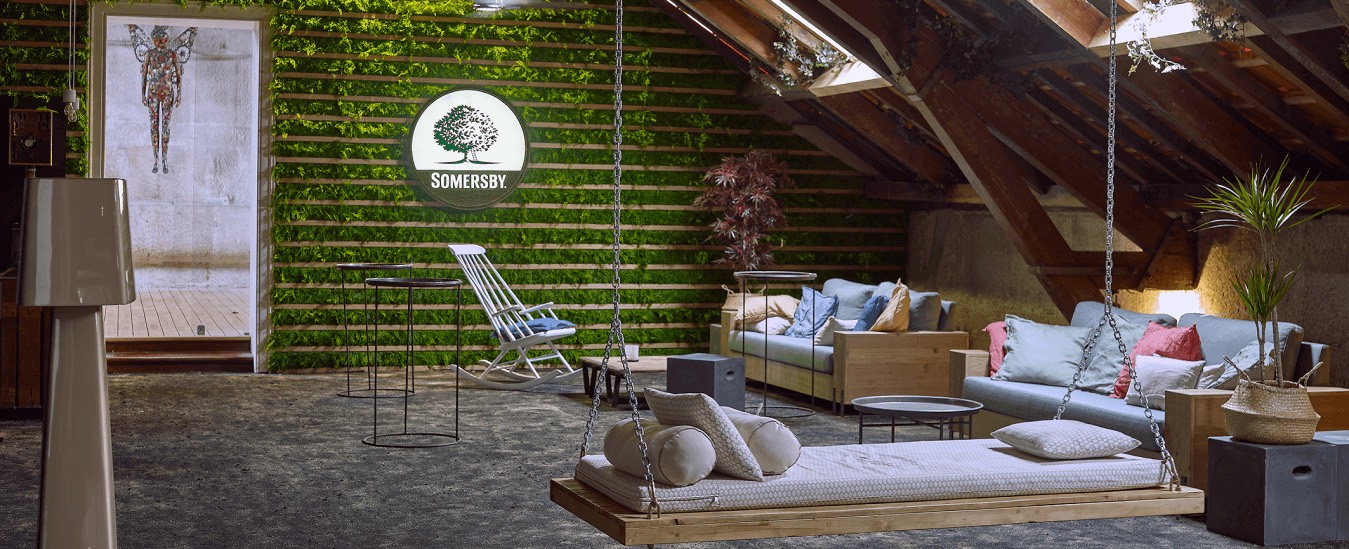 Indoor garden with a green wall